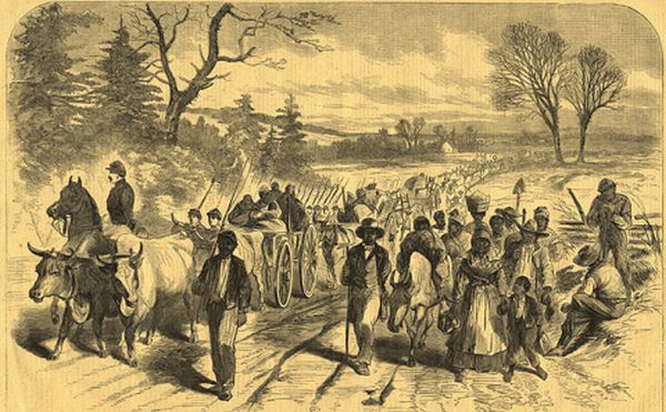 This black-and-white engraving shows a long procession of formerly enslaved people, including men, women, and children, traveling down a dirt road alongside horse-drawn wagons. Some people walk beside the wagons while others ride inside them, all moving through a rural landscape with scattered trees under a cloudy sky.