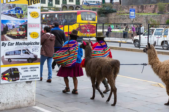 city street with women leading llamas
