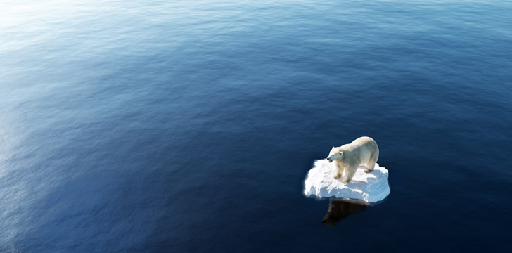 a polar bear standing on a small block of ice surrounded by the sea