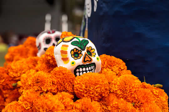 painted costume masks on a bed of flowers