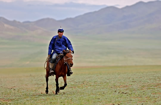 horseback rider