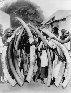 people holding large curved objects